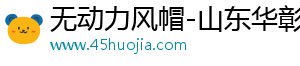 無(wú)動(dòng)力風(fēng)帽-山東華彰煙道風(fēng)帽廠(chǎng)家